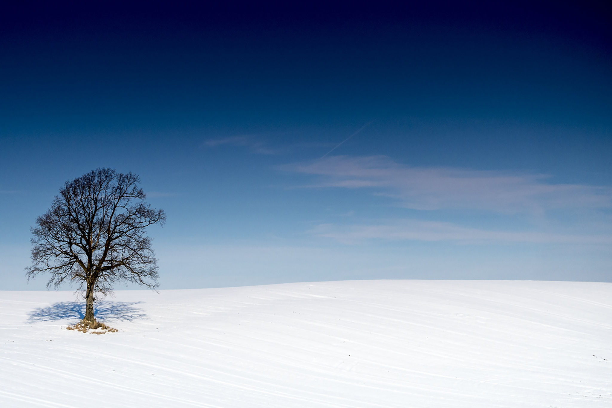 retreat lovingkindness